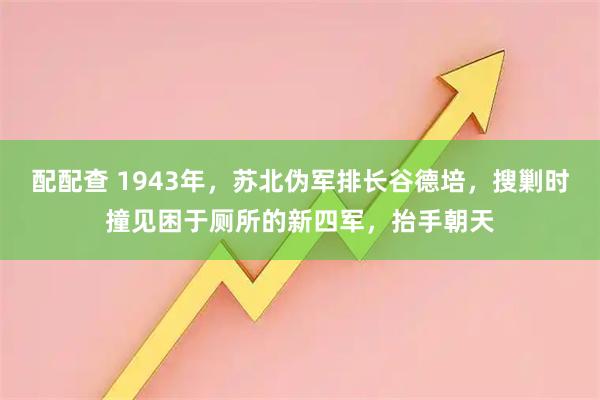 配配查 1943年，苏北伪军排长谷德培，搜剿时撞见困于厕所的新四军，抬手朝天