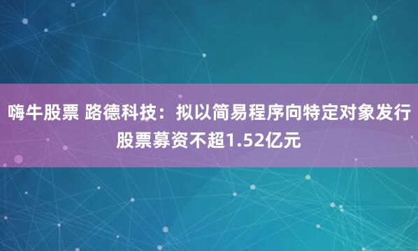 嗨牛股票 路德科技：拟以简易程序向特定对象发行股票募资不超1.52亿元
